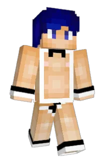 kisaki201 Minecraft avatar full body
