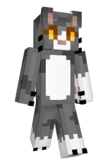 kitNkaboodles_ Minecraft avatar full body