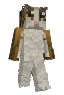kittiegf Minecraft avatar full body