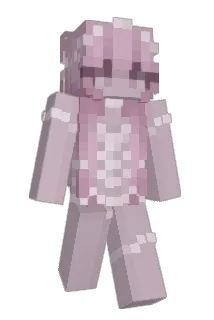 kittiies Minecraft avatar full body