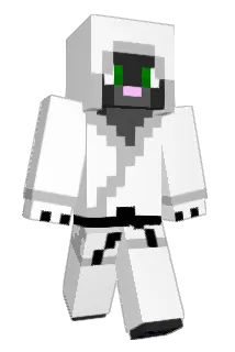 kittyninja1 Minecraft avatar full body