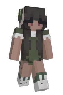 kiwidumb Minecraft avatar full body
