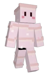 klopy7654 Minecraft avatar full body