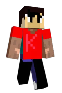 km1219 Minecraft avatar full body