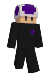 knepnut Minecraft avatar full body