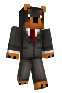 knine1446 Minecraft avatar full body