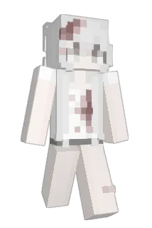 knnzes Minecraft avatar full body