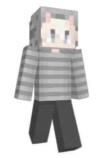 knowwn Minecraft avatar full body