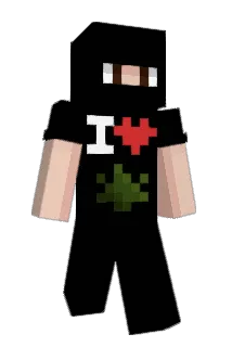 knzc Minecraft avatar full body