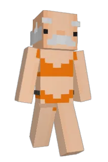 koau Minecraft avatar full body