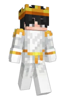 koffret Minecraft avatar full body