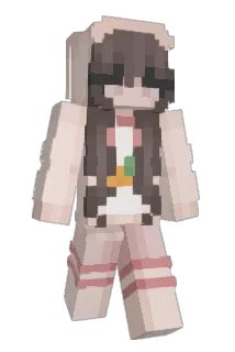 koiflop Minecraft avatar full body