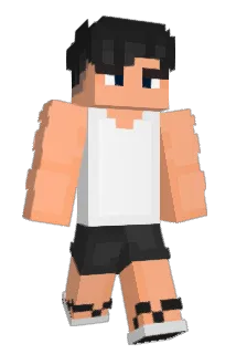 kokoloko221 Minecraft avatar full body
