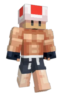 kongu2525 Minecraft avatar full body