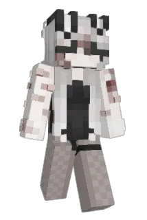 kookistea Minecraft avatar full body