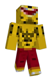 kopaka21 Minecraft avatar full body