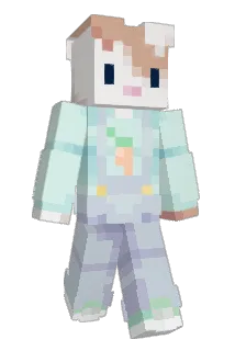korbosnapped Minecraft avatar full body