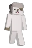 kruzona Minecraft avatar full body