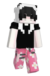 ksjd Minecraft avatar full body