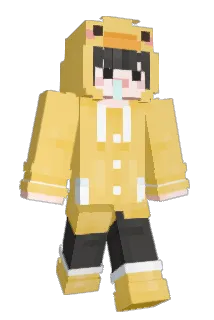 ksw3491 Minecraft avatar full body
