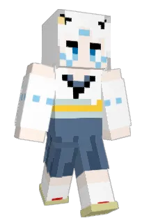 kz1221 Minecraft avatar full body