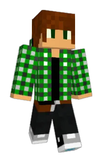 l301 Minecraft avatar full body