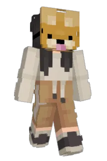 lWookie Minecraft avatar full body