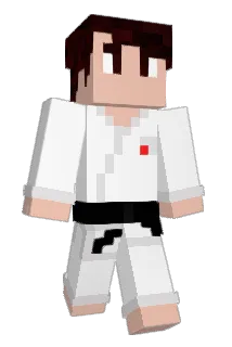 l_David_l Minecraft avatar full body
