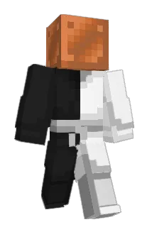 l_sp Minecraft avatar full body