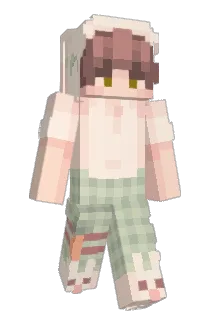 laaambchop Minecraft avatar full body