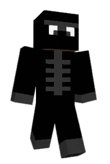 ladybird29 Minecraft avatar full body