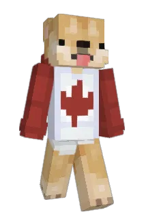 laincow Minecraft avatar full body