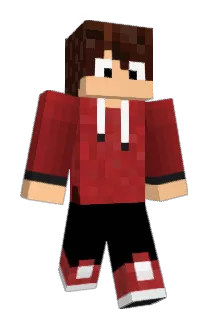 lainse13 Minecraft avatar full body