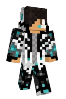 laisn Minecraft avatar full body