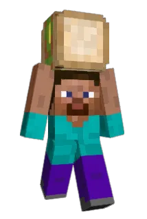lallaroo Minecraft avatar full body