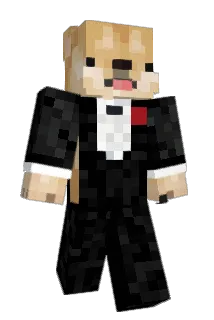 lampppu Minecraft avatar full body