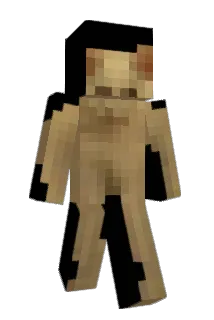 lan_0405 Minecraft avatar full body