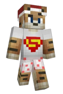 lander54 Minecraft avatar full body