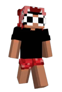 landnarc Minecraft avatar full body