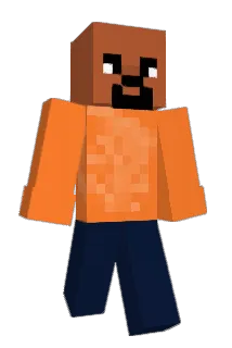 laplata10 Minecraft avatar full body