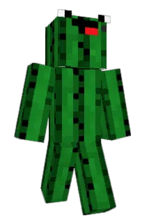 lapopril Minecraft avatar full body