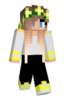 lara2611 Minecraft avatar full body