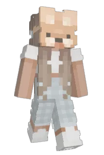 lc4093 Minecraft avatar full body