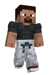 ldii Minecraft avatar full body