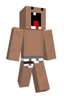 learntofly101 Minecraft avatar full body