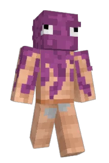 ledessinateur Minecraft avatar full body