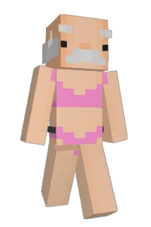 ledini21 Minecraft avatar full body