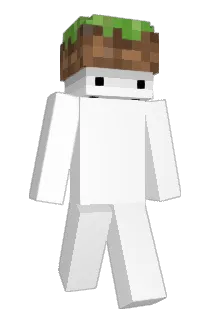 ledonggu Minecraft avatar full body