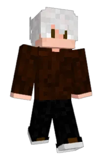 ledze101 Minecraft avatar full body