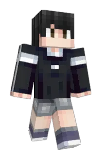leejaaree Minecraft avatar full body